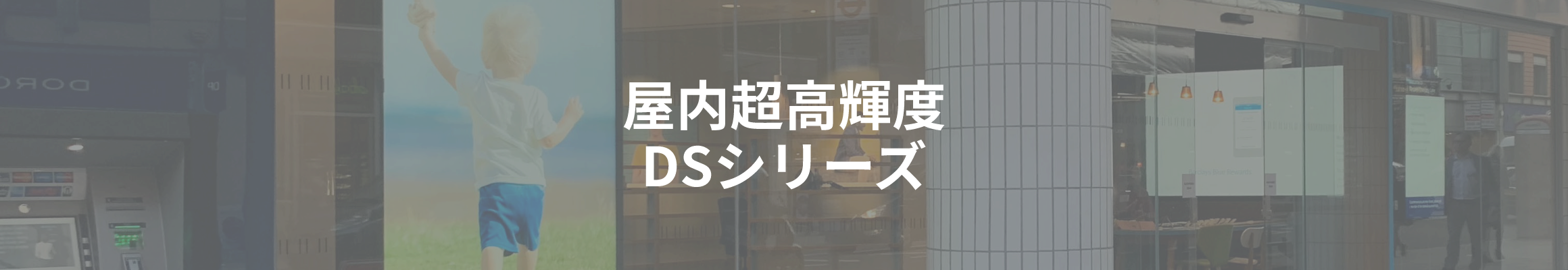 DSシリーズ