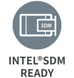 INTEL SDM READY